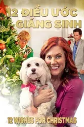 12 Điều Ước Giáng Sinh - 12 Điều Ước Giáng Sinh (2011)