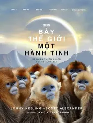 Bảy Thế Giới, Một Hành Tinh - Bảy Thế Giới, Một Hành Tinh (2019)