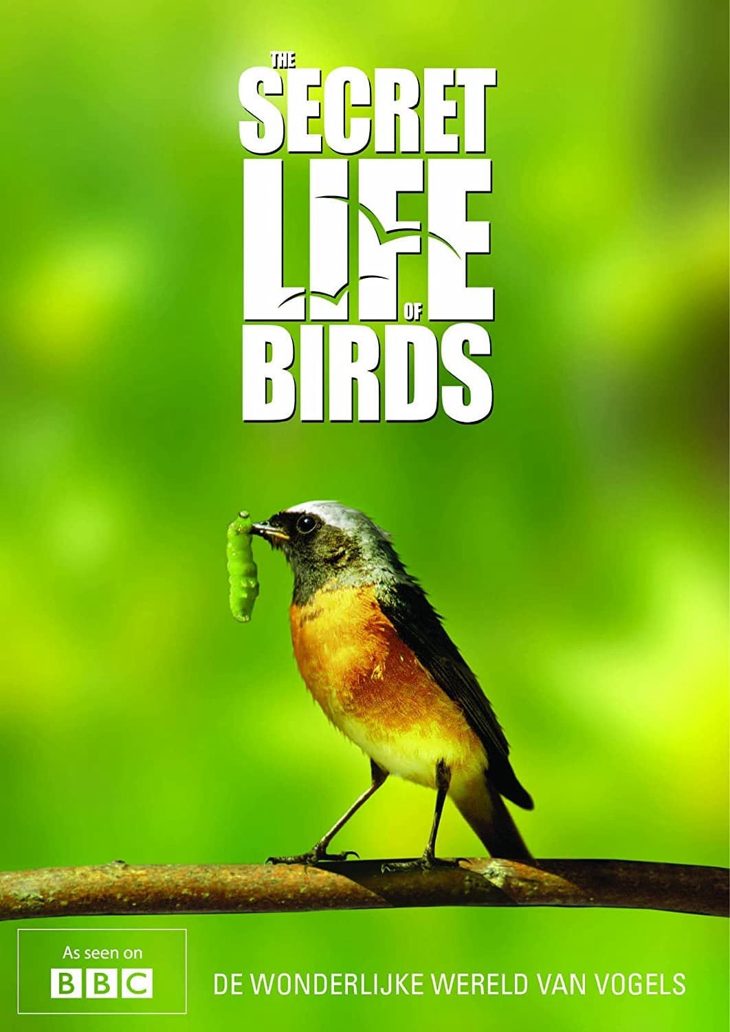 Bí ẩn cuộc sống loài chim - Bí ẩn cuộc sống loài chim (2012)