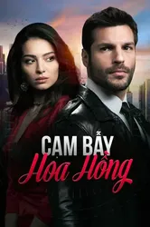 Cạm Bẫy Hoa Hồng - Cạm Bẫy Hoa Hồng (2020)