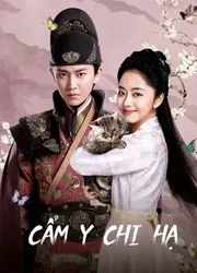 Cẩm Y Chi Hạ - Cẩm Y Chi Hạ (2019)