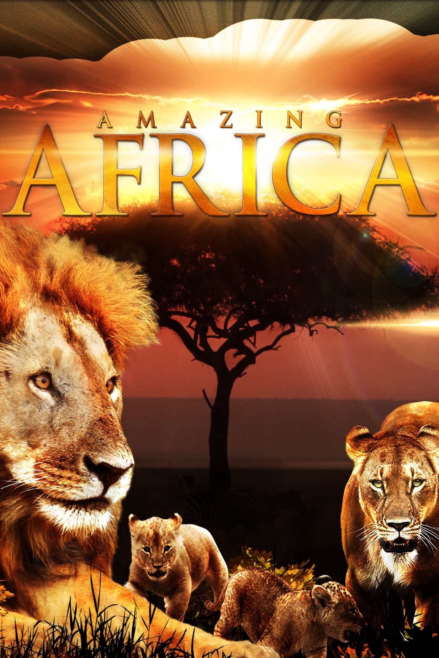 Châu Phi Huyền Diệu - Châu Phi Huyền Diệu (2013)
