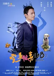 Cô Vợ Giả Hoàn Hảo - Cô Vợ Giả Hoàn Hảo (2014)