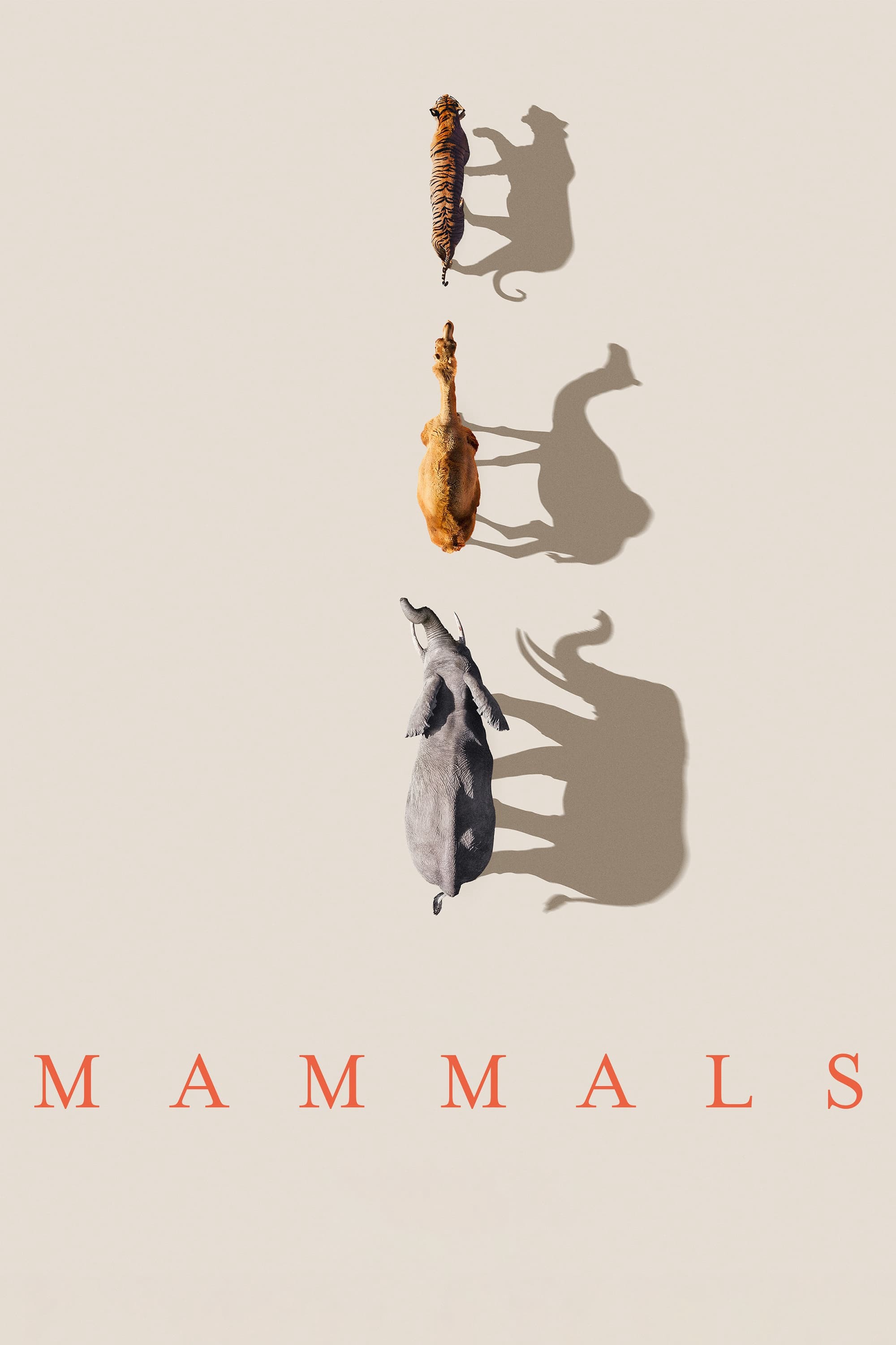 Mammals (2024) - Mammals (2024) (2024)