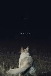 Màn Đêm Buông Xuống - Màn Đêm Buông Xuống (2017)