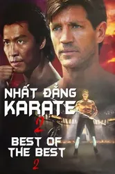 Nhất Đẳng Karate 2 - Nhất Đẳng Karate 2 (1993)