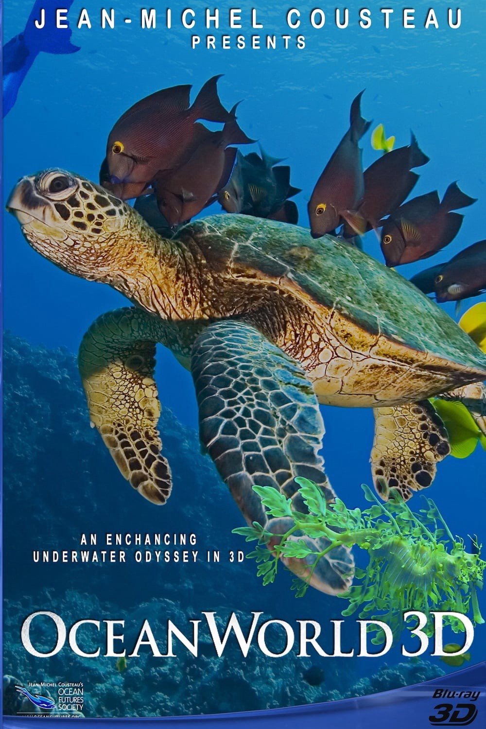 OceanWorld 3D - OceanWorld 3D (2009)