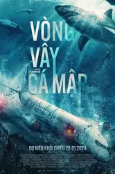 Vòng Vây Cá Mập - Vòng Vây Cá Mập (2024)