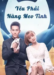 Yêu Phải Nàng Meo Tinh - Yêu Phải Nàng Meo Tinh (2020)